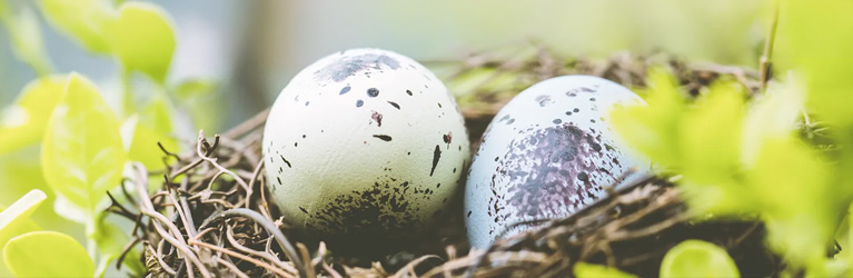 Finde die Ostereier!