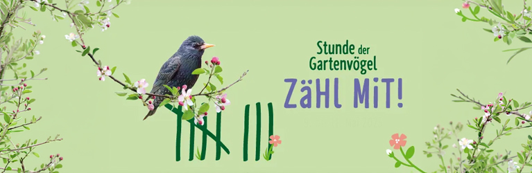 Stunde der Gartenvögel